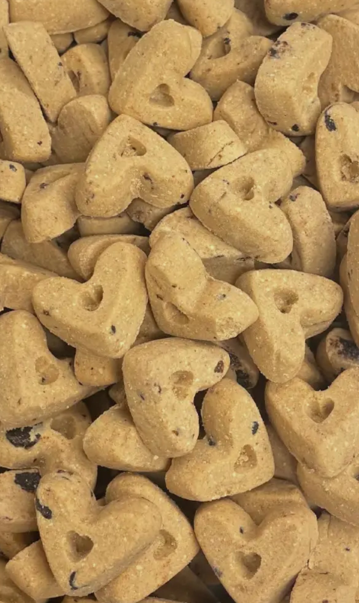 A9-Soft n Chewy Peanut Butter-Carob Chip