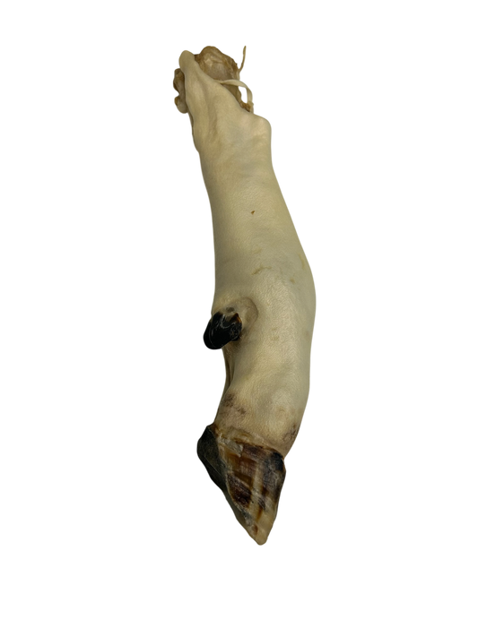 AA Lamb Trotter