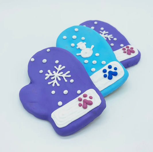 B1-Winter Mitten Decorated Treat